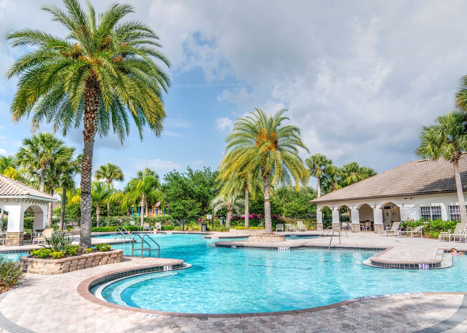 Swimming pool with palm trees in a sunny garden